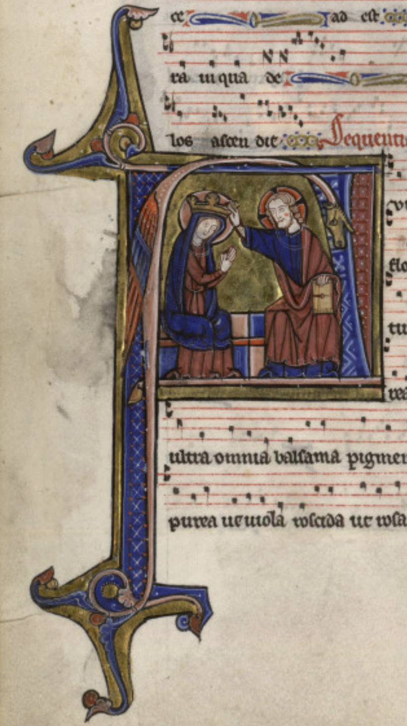 Our Lady Mediatrix of All Graces Image